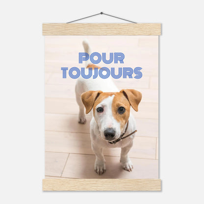 03986c26-6d0c-4e05-97b0-a0a8fb2bc039