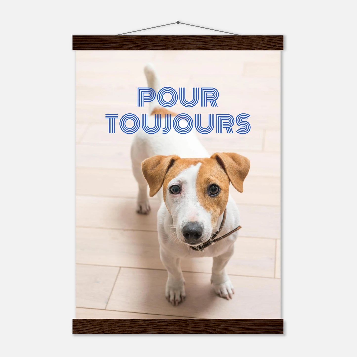 186b0376-4283-4c9a-88df-fe5232883ad9