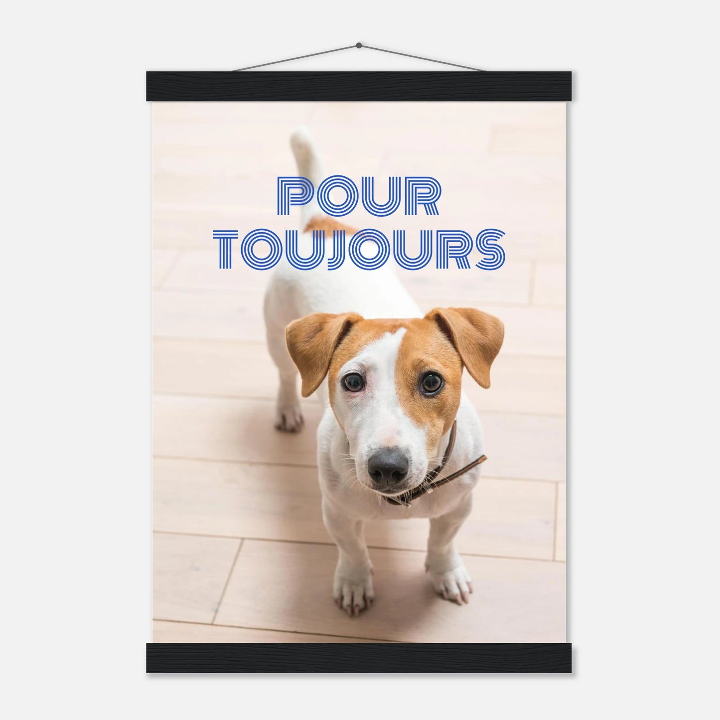 1e376deb-d16e-4609-8335-6b64c4771aa6