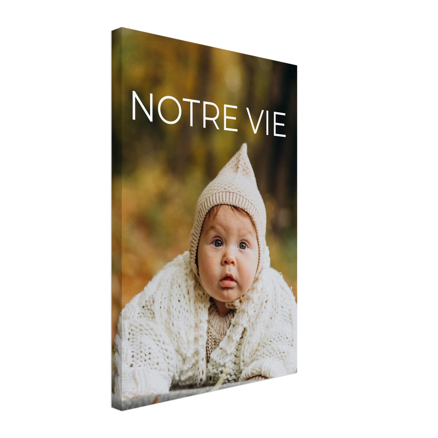 5deb5671-8f99-4cff-98ef-581984a2b894