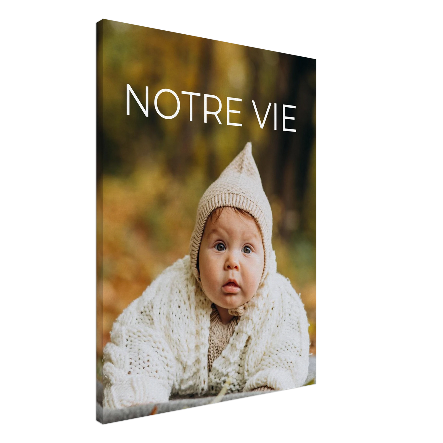 5fbd386d-ce38-4e58-bbb6-afb94b507c5c