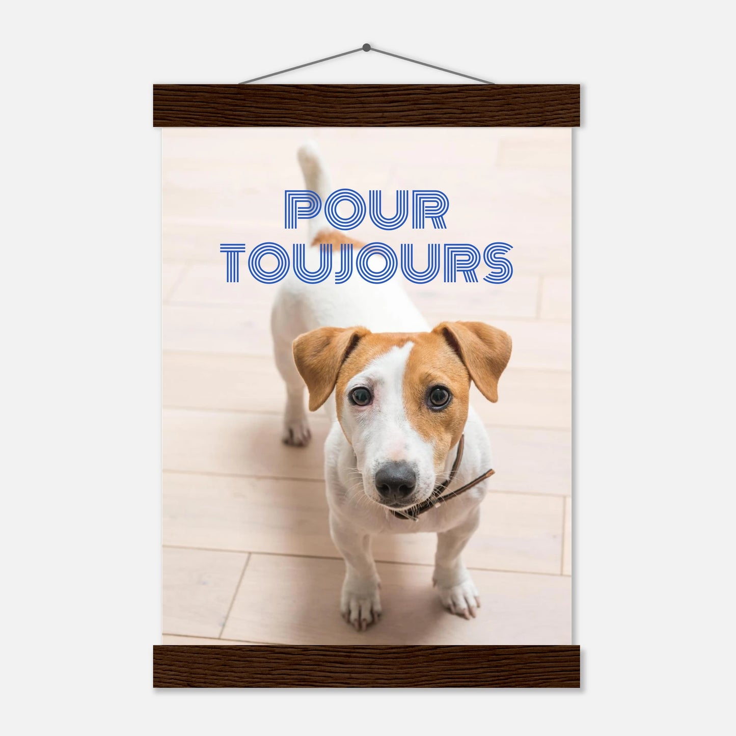 64d75e91-7dfd-4b0f-bce4-a13c3fc83b64