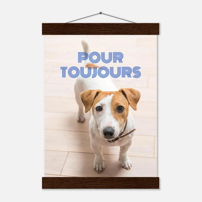 64d75e91-7dfd-4b0f-bce4-a13c3fc83b64