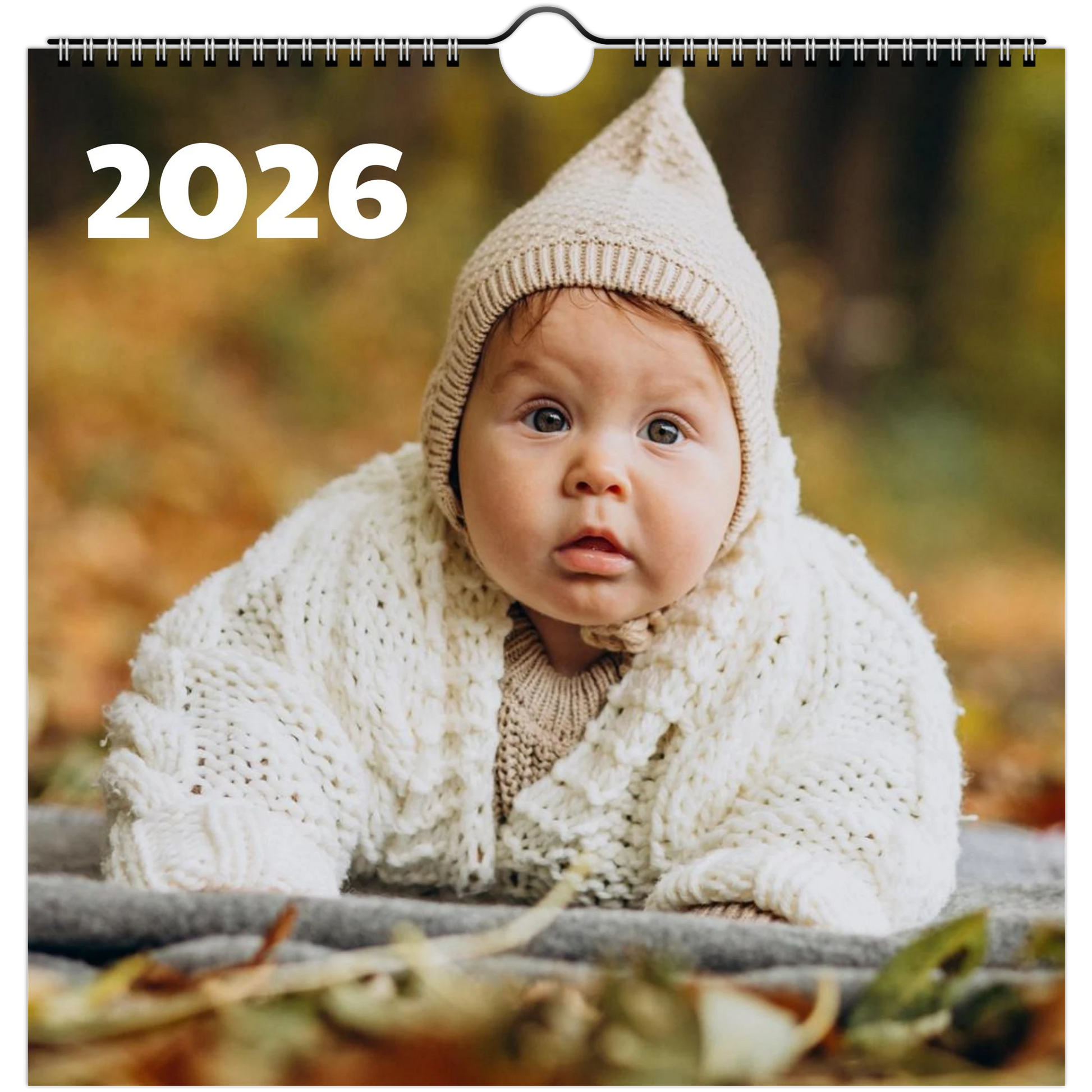 77b7c31c-ed01-4f6d-ae6d-12231b7a15f3