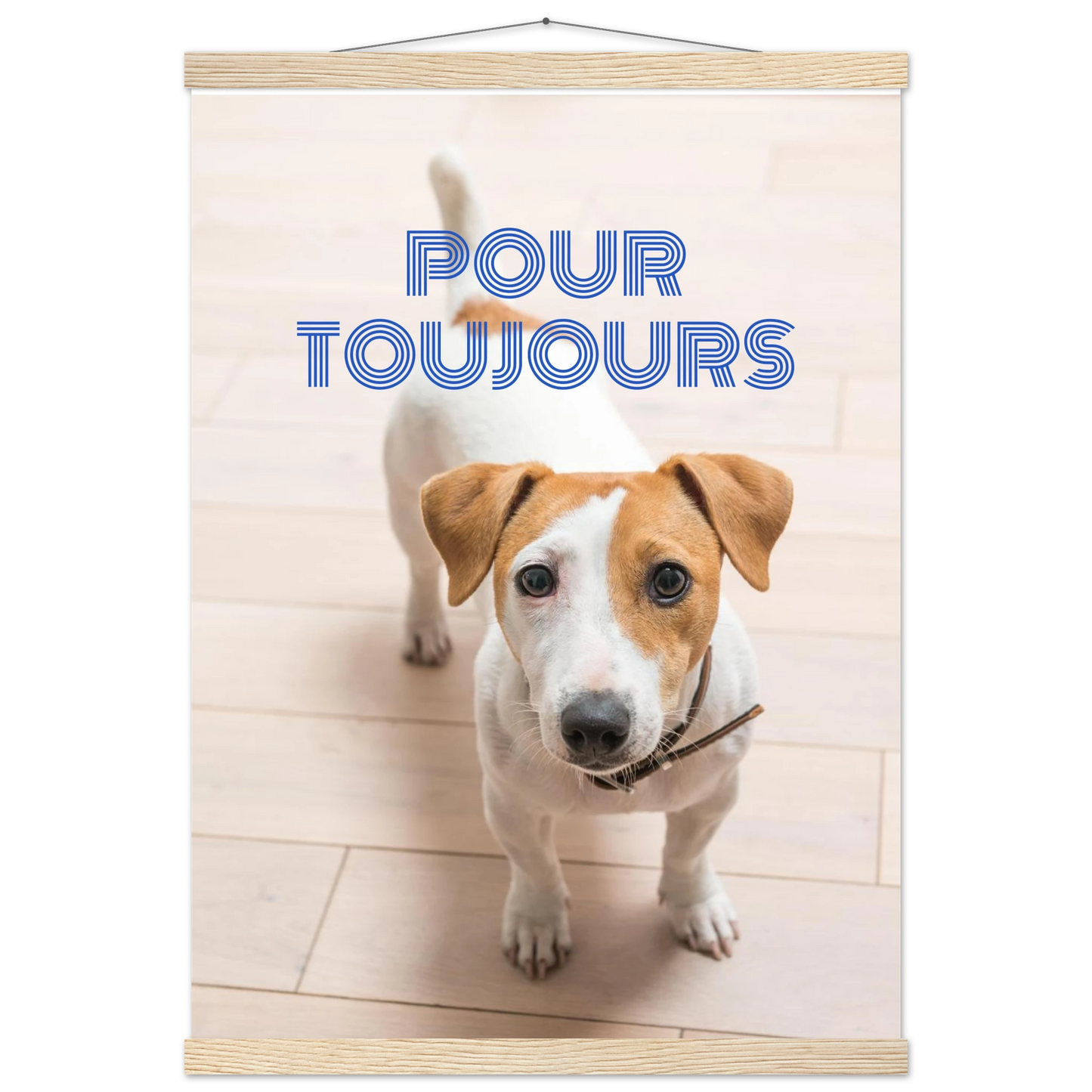 8f251dd0-e492-4b45-96e3-f5d84da485e6