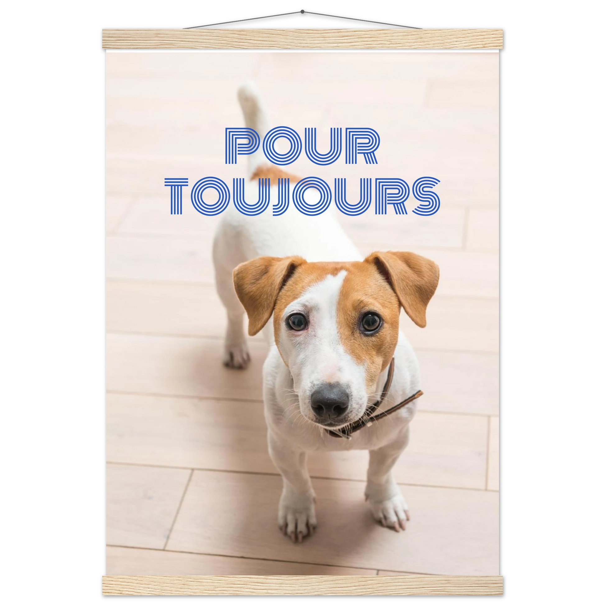 8f251dd0-e492-4b45-96e3-f5d84da485e6