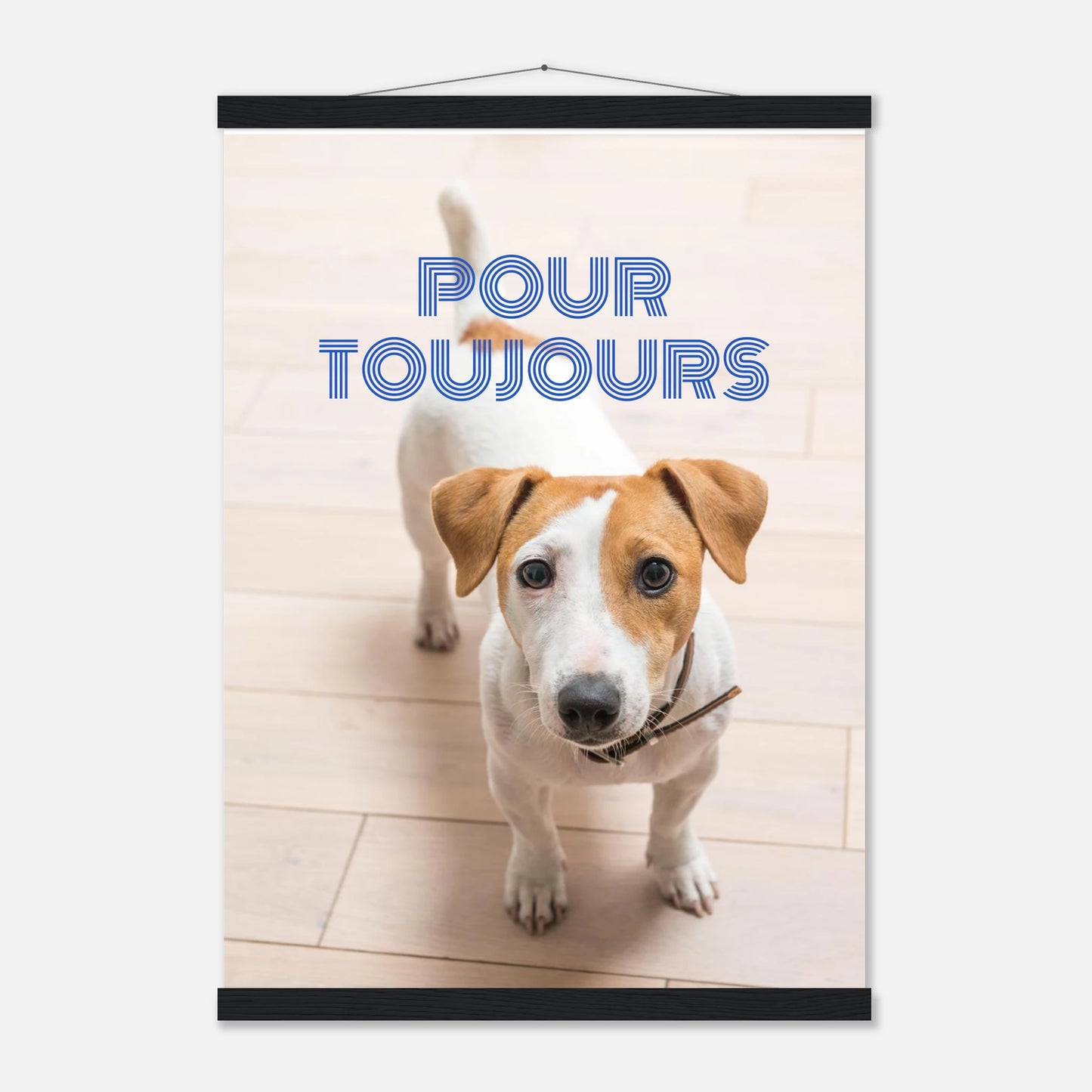 a6218b24-d4fb-4cf4-891e-43d68aea63a2