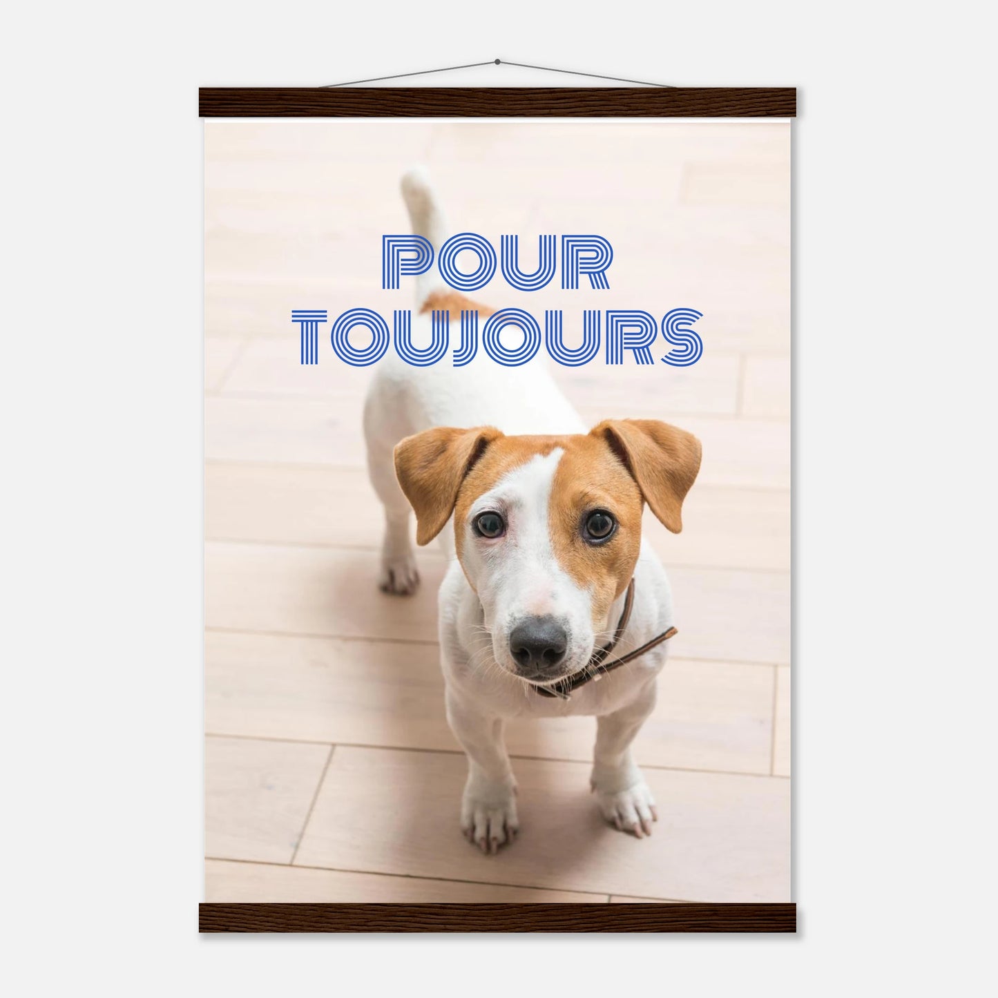 a6f0a6b9-8d7b-4e18-82f3-b3c798575e94