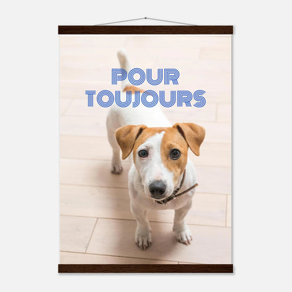 a6f0a6b9-8d7b-4e18-82f3-b3c798575e94