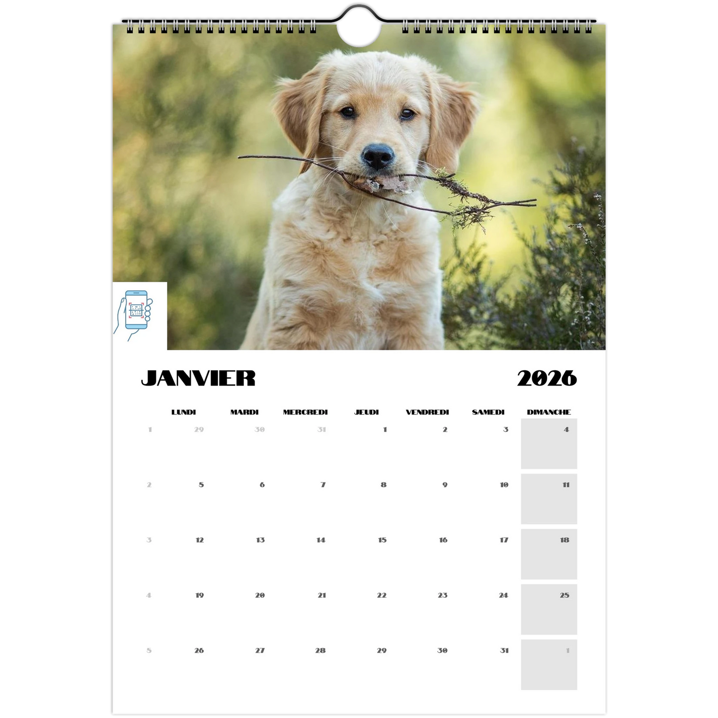 c0865893-cd28-4b41-8f19-72f020ff7498