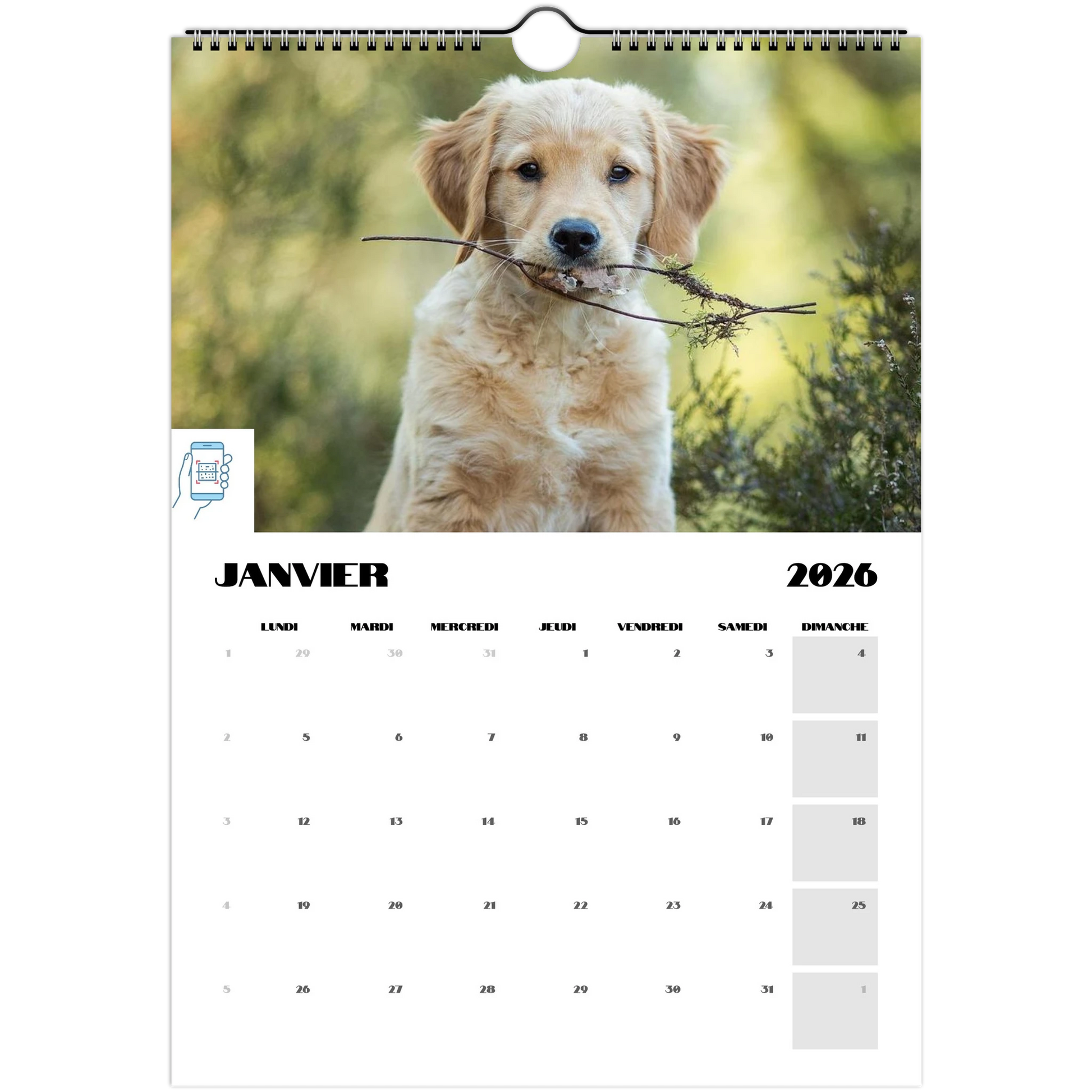 c0865893-cd28-4b41-8f19-72f020ff7498