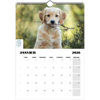 c0865893-cd28-4b41-8f19-72f020ff7498