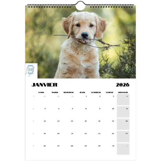 c0865893-cd28-4b41-8f19-72f020ff7498